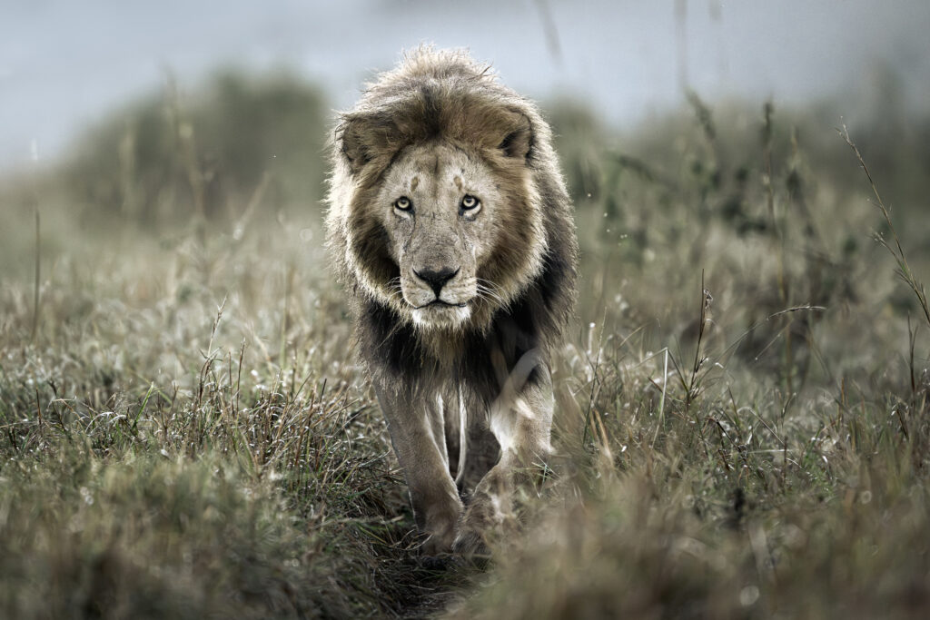 Amanece en Enkewa Camp