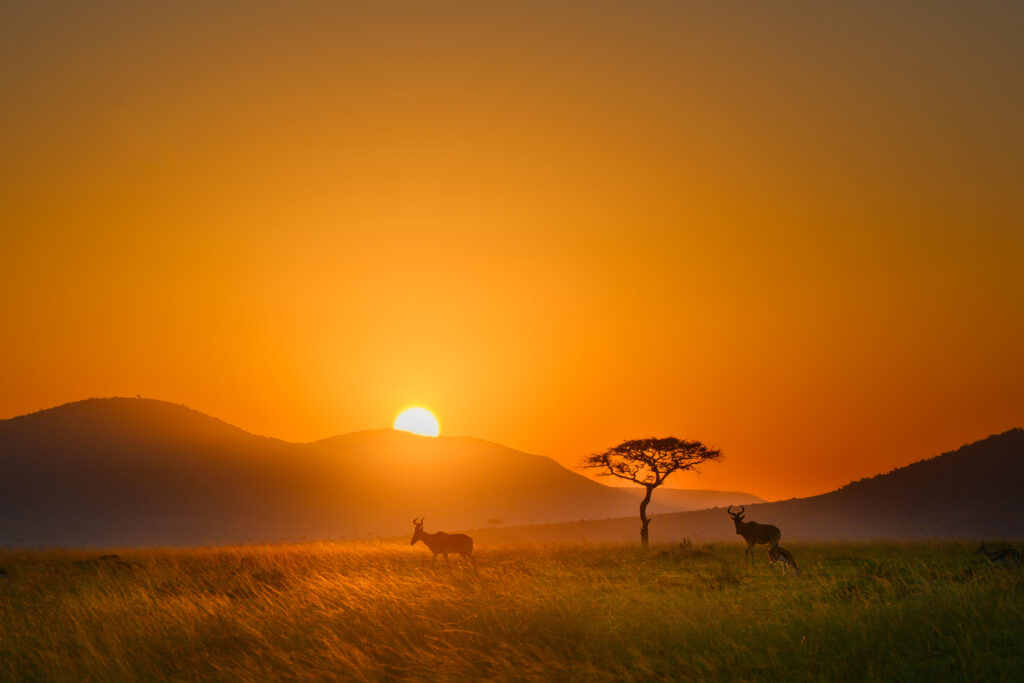 Amanece en Massai Mara