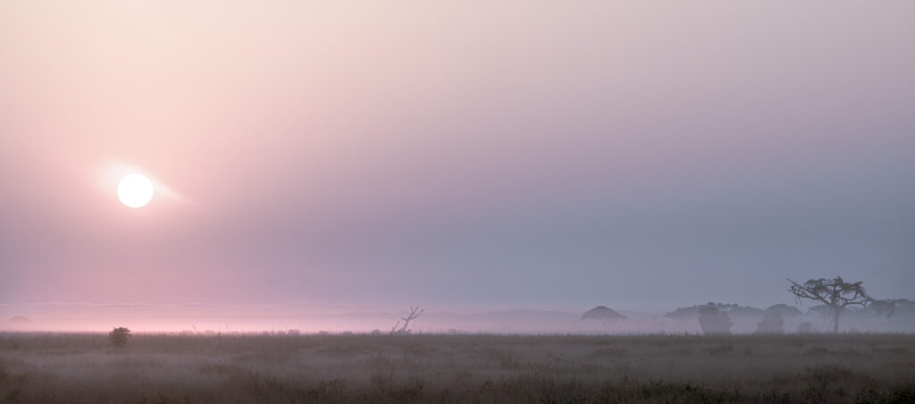 Amanece en Amboseli